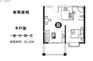B 1111  52O